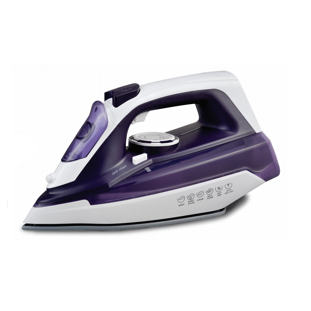 Cordless Iron